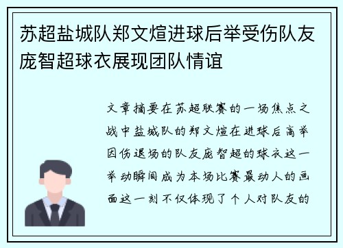苏超盐城队郑文煊进球后举受伤队友庞智超球衣展现团队情谊