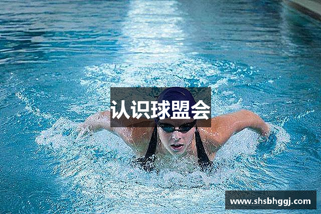 认识球盟会